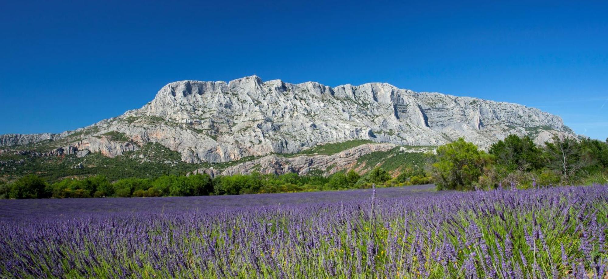 Cafi - Sud Passion * Calme * Linge Hotelier * Fibre * Marseille